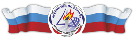 Логотип компании Агентство по спорту Калининградской области