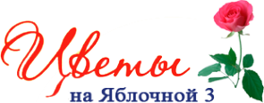 Логотип компании Мелкооптовый магазин цветов
