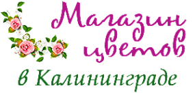 Логотип компании МАГАЗИНЦВЕТОВ39.РФ
