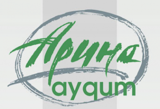 Логотип компании Арина-Аудит