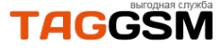 Логотип компании TagGsm.RU