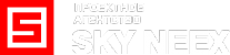 Логотип компании Sky neex