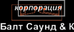 Логотип компании Шоутехник