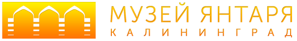 Логотип компании Калининградский областной музей янтаря