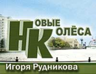 Логотип компании Новые Колеса Игоря Рудникова