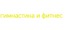 Логотип компании Стройнофф