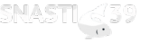 Логотип компании Снасти39
