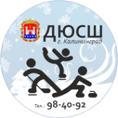 Логотип компании ДЮСШ по хоккею с шайбой