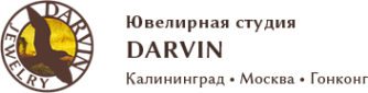 Логотип компании Darvin