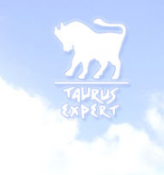 Логотип компании Таурус-Эксперт