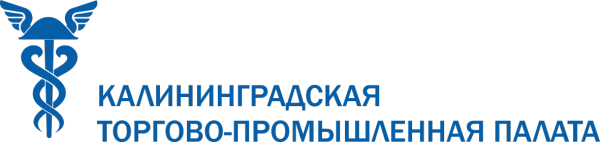 Логотип компании БИЗКОН 39