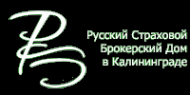 Логотип компании Русский Страховой дом
