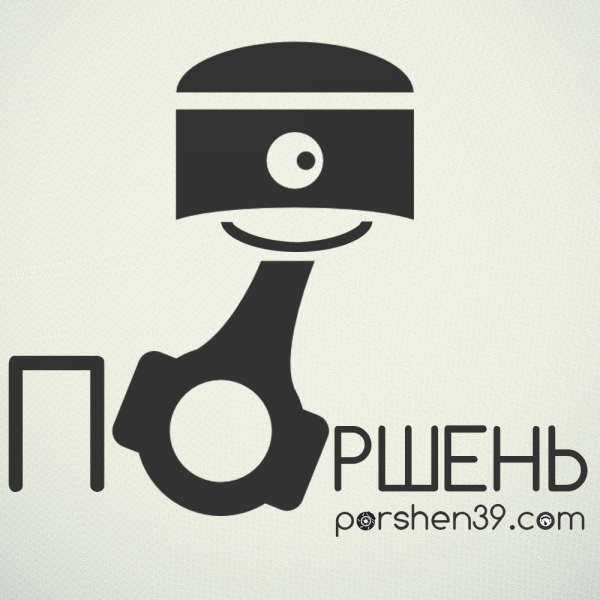 Логотип компании Поршень39