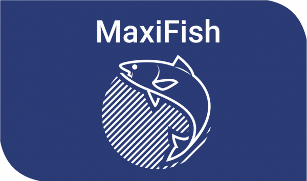 Логотип компании Максифиш